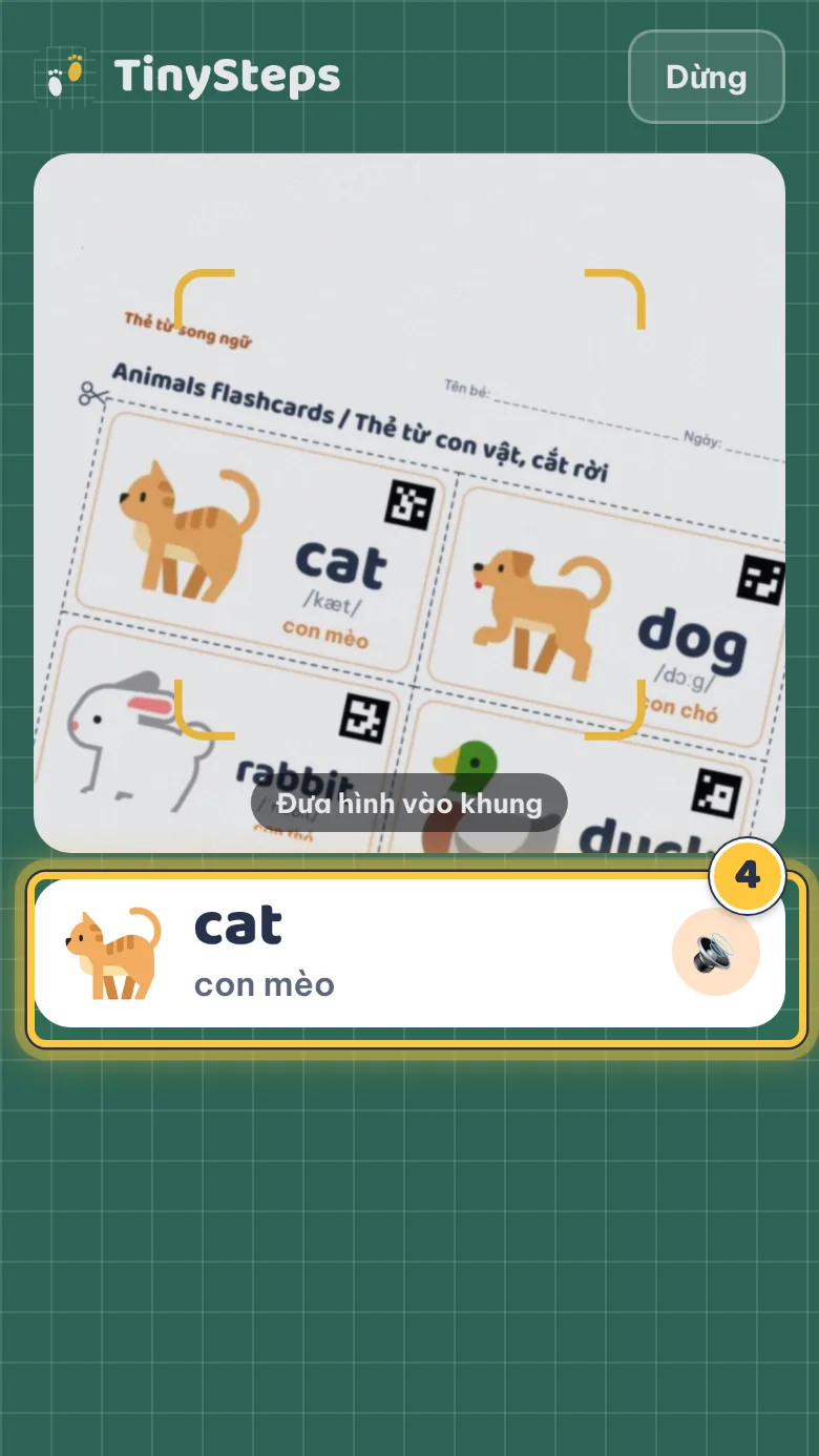 Camera điện thoại nhìn vào thẻ con mèo, bên dưới hiện chữ cat con mèo